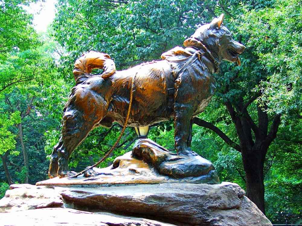 Historical Journey to the Balto Statue in Central Park Pedicab Tours